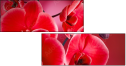 56946263