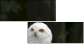57060206