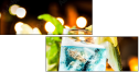 57074145
