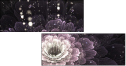 57185040