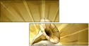 57686954