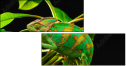 57907029