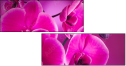 58002130