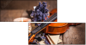 58289639