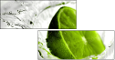 58535251