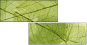 58647115