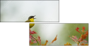 58740604