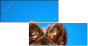 58783058