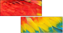 59019361