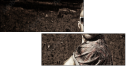 59261844