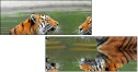 59476374