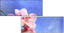 59560560