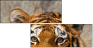 59798134
