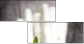 59831129