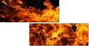 59859879