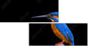 59945759
