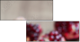 60166700