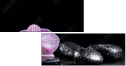 60313286