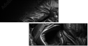 60318085
