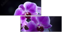 60354843