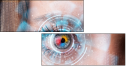 60478677