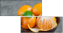 60530401