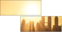 60817031