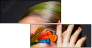 60857944