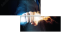 60913301