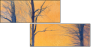 61864050