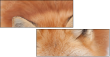 62758452