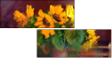 62921715