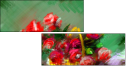62921723