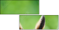63805438