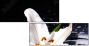 64347544