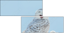64588759