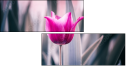 64764668