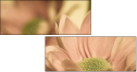 65771321