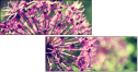 65874954
