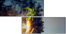 65958619