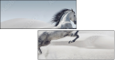 67039341