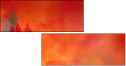 67251094