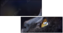 67261784