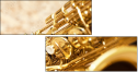 67355058