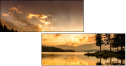 67616317