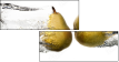 67849478