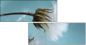 67938028
