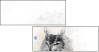 68366364