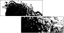 68369246