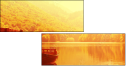 68616256